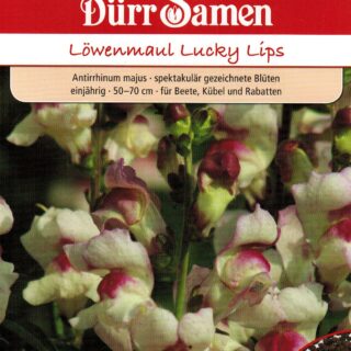 Leijonankita Lucky Lips