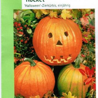 Koristekurpitsa Rocket