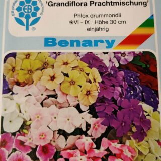 Kesäleimu Grandiflora sekoitus