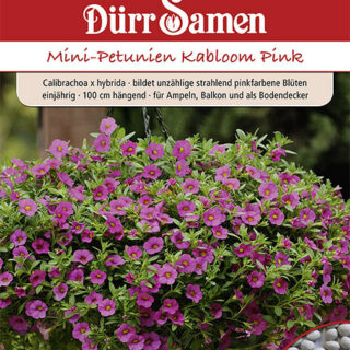 Pikkupetunia Kabloom Pink