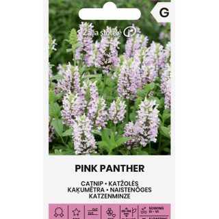 Komeakissanminttu Pink Panther