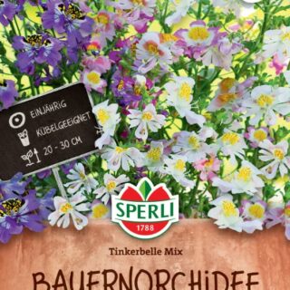 Perhoskukka Tinkerbelle Mix