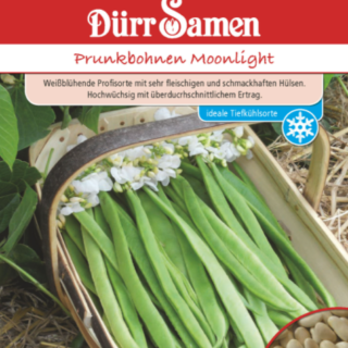 Ruusupapu Moonligt an