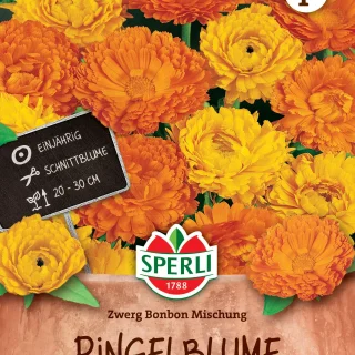 Tarhakehäkukka Bon Bon sekoitus