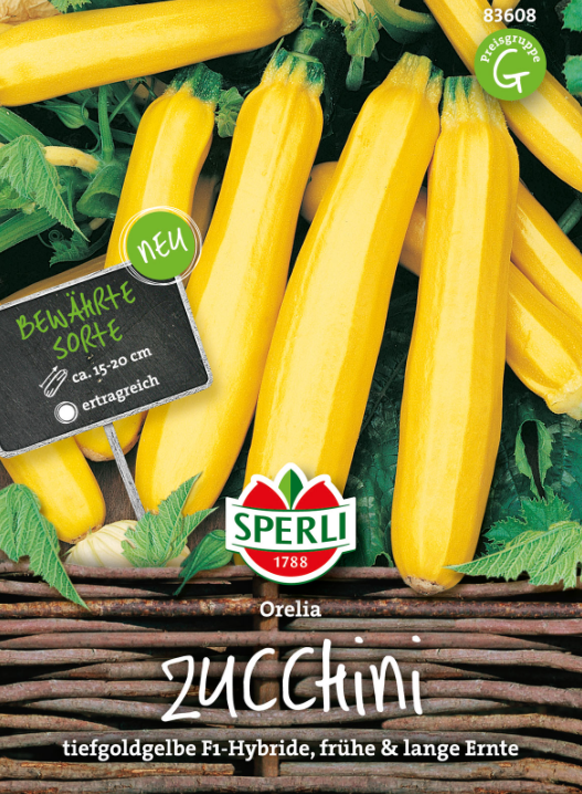 Kesäkurpitsa Orelia F1