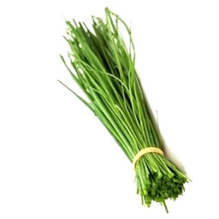 Ruohosipuli pikkupillinen