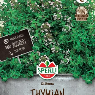 Timjami 'Di Roma' Sperli