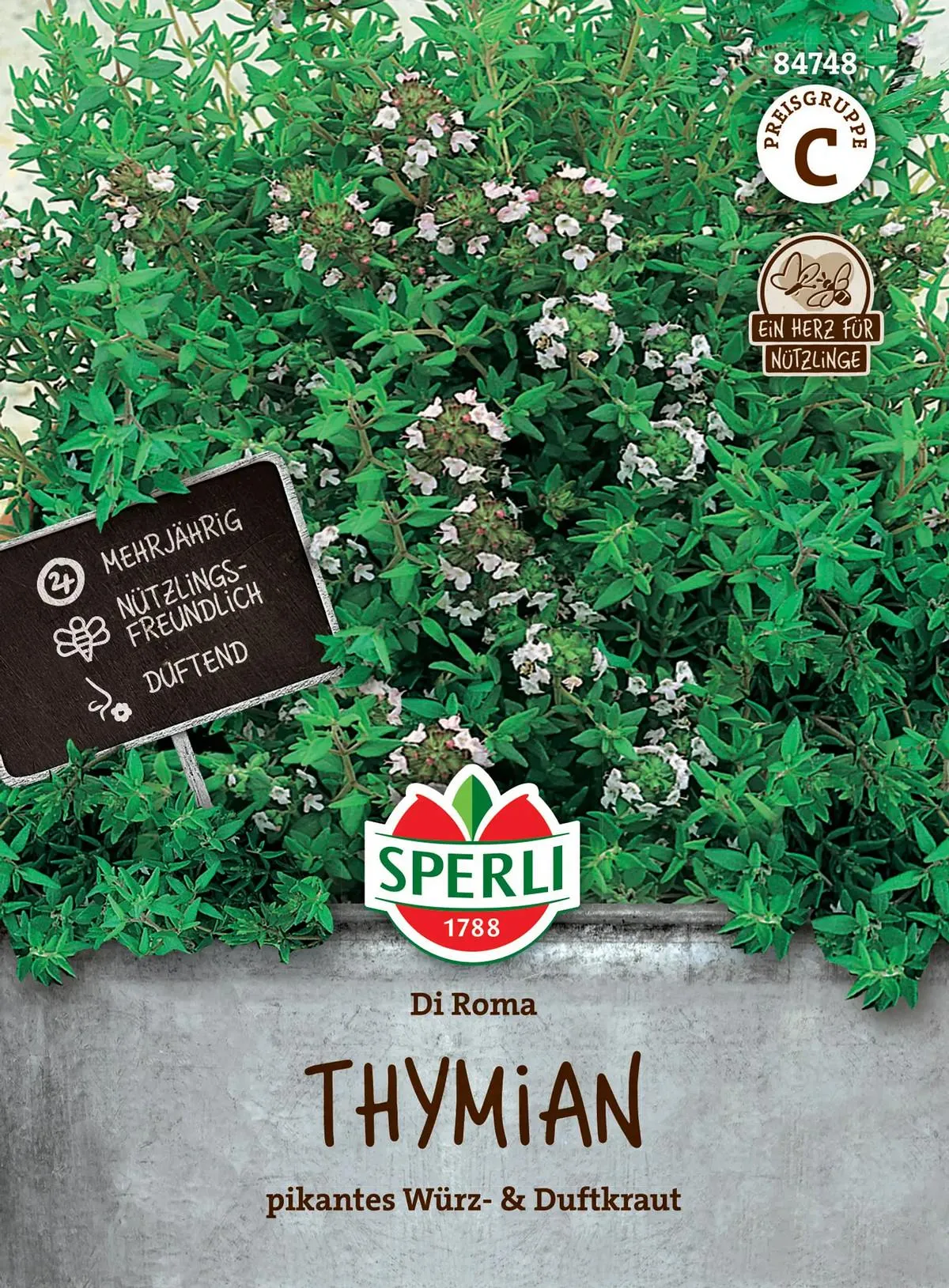 Timjami 'Di Roma' Sperli