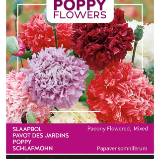 Pioniunikko sekoitus noin 1 g. valmispussi