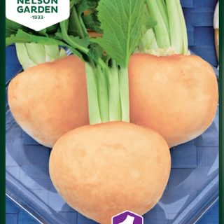 Nauris Kultapallo valmispussi