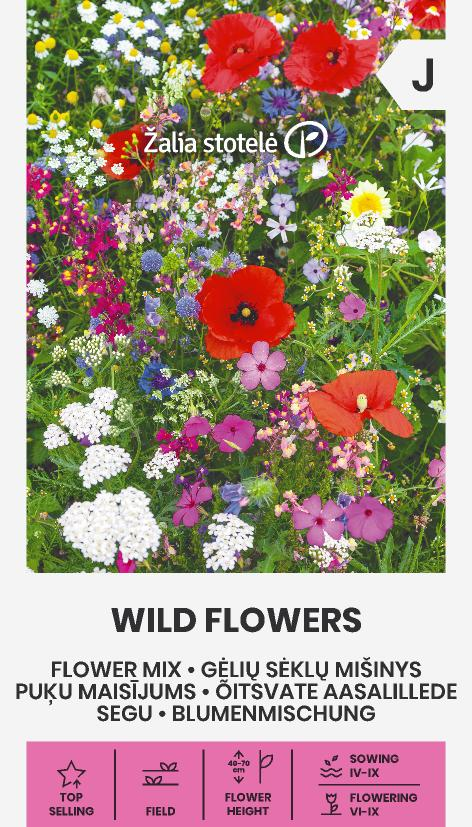 Kukkaseos luonnonkukat 'wild flowers'