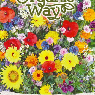 Kukkaseos Perhosille Luomu 'Butterfly'