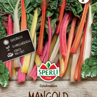 Mangoldi Celebration