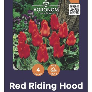 Tulppaani 'Red Riding Hood'