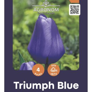 Triumph-tulppaani 'Blue' (sininen)