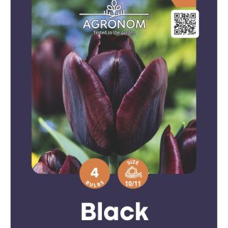 Tulppaani Black