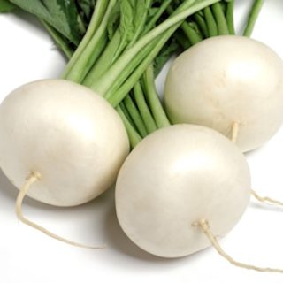 Nauris White Milan white