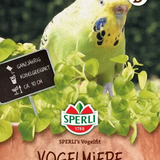 Linnunruoho 'Sperlis Vogelfit'