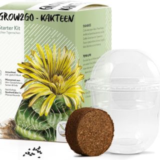 Tiikerinleuka kasvatussetti