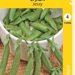 Taittoydinherne Jessy