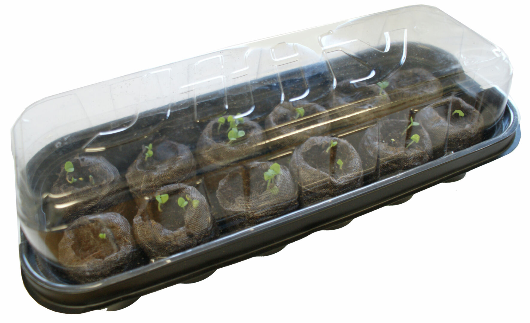 Kasvihuone ja pelletit 12 kpl Jiffy - Image 2