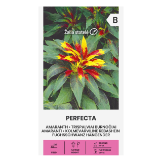 Kirjorevonhäntä 'Perfecta' amarantti