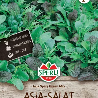 Asia-Salat, aasialainen salaattiseos