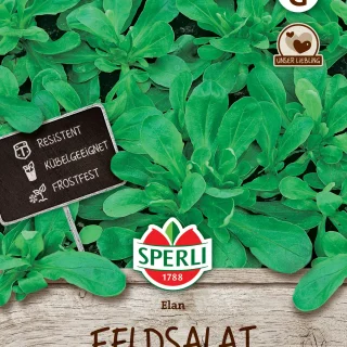 Salaattivuonankaali Elan Sperli valmispussi