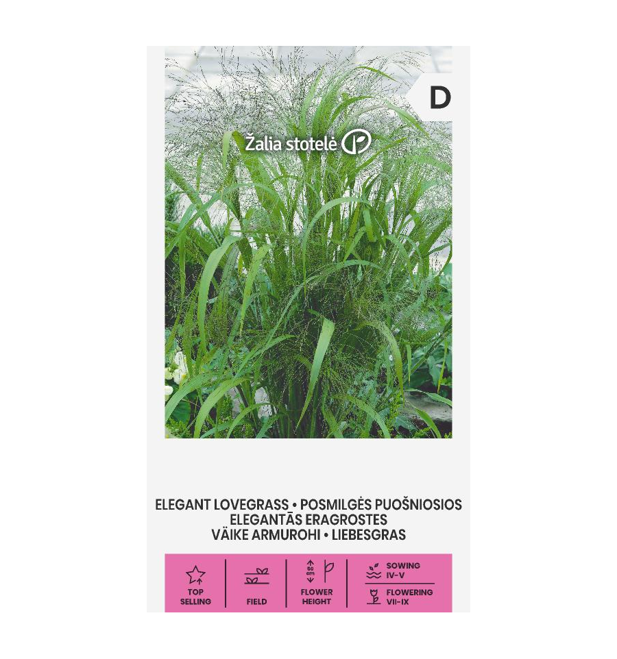 Eragrostis elegans