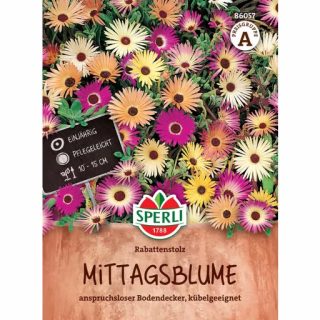 Keskipäivänkukka, sekoitus eri värejä, Sperli
