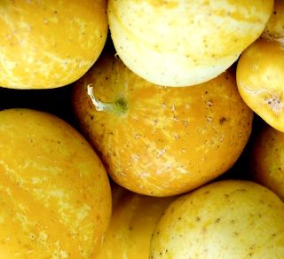 Sitruunakurkku Lemon