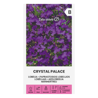 Sinilobelia Crystal Palace