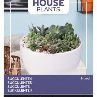 Mehikasvit sekoitus Buzzy