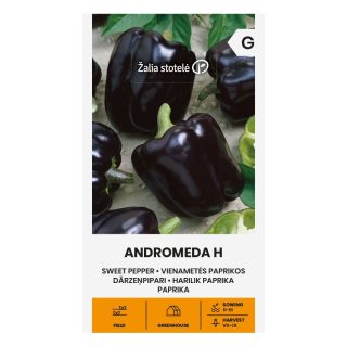 Paprika 'Andromeda H'