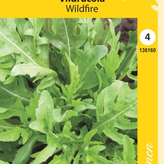 Villirucola 'Wildire'