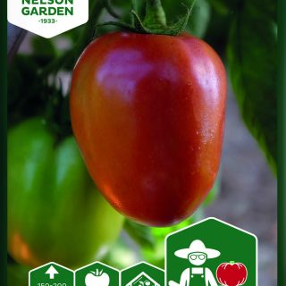 Tomaatti Big Mama F1