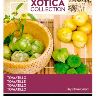 Tomatillo Purple Buzzy 1 g valmispussi