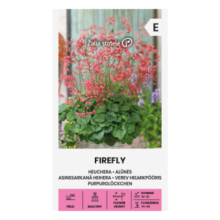 Korallikeijunkukka Firefly