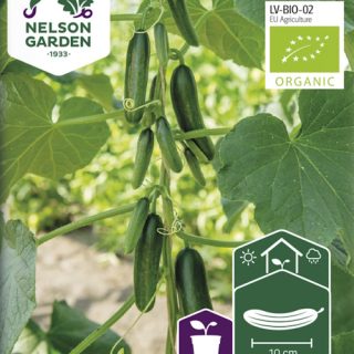 Minikirkku Kaikura F1 LUOMU