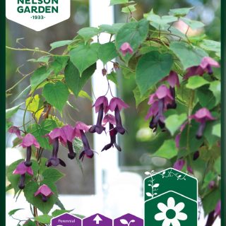 Keijunmekko valmispussi