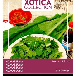 Vihannessinappi Komatsuna