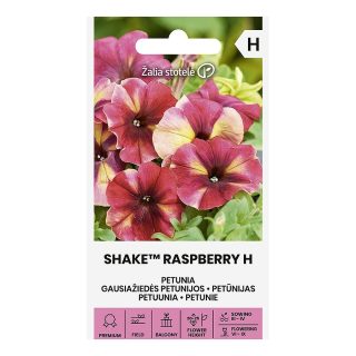 Petunia Shake 'Raspberry H'