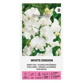 Tuoksuherne 'White Ensign' valkoinen