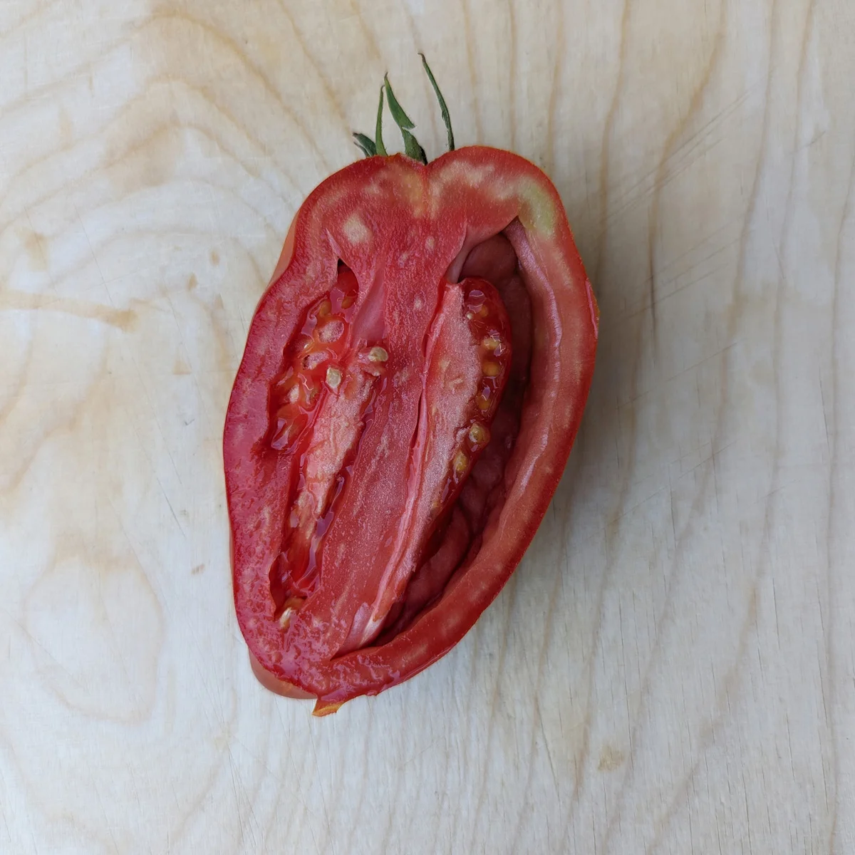 Tomaatti Andenhorn / Andine Cornue, perinteinen tomaatti - Image 3