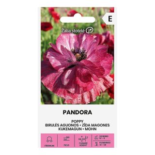 Silkkiunikko Pandora