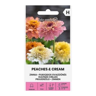 Isotsinnia Peaches et Cream sekoitus