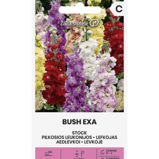 Kesäleukoija sekoitus EXA