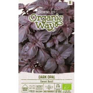 Punalehtinen basilika Dark Opal LUOMU