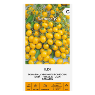 Tomaatti Ildi 0,2 g (ennakkotilaus, arvio saapumisesta viikko 10)