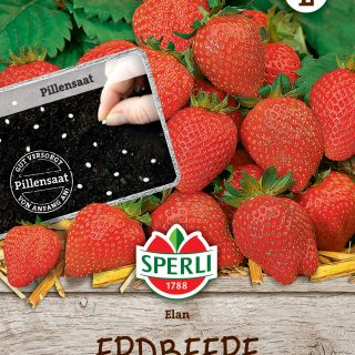 Mansikka Elan F1 pilleröity siemen